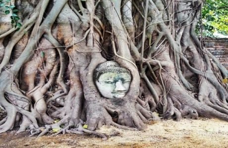 mahathat Ayutthayah templos