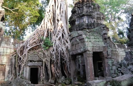 Siem Reap Angkor Thom Therer Bayon Bapoun
