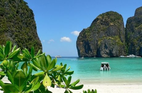 maya bay phiphi español guia en tailandia tours